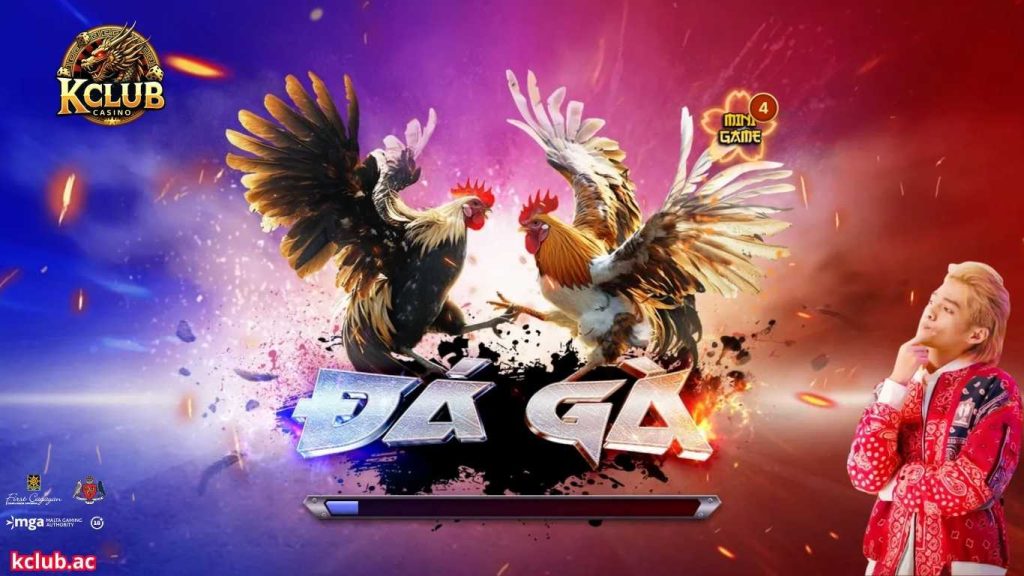 Giới thiệu tổng quan về đá gà Kclub